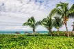 ✈ 4-Day Turks & Caicos Vacation. Price is per Person, Based on Two Guests per Room. Buy One Voucher per Person. - Second Medium