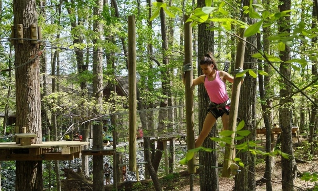 What to expect media