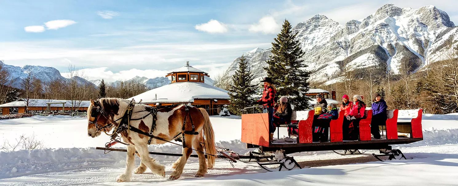 Magically Breathtaking Winter Sleigh Adventure in the Canadian Rockies