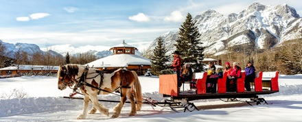 Winter Sleigh Ride for Couples [2 adults] - Boundary Ranch - Kananaskis, Alberta