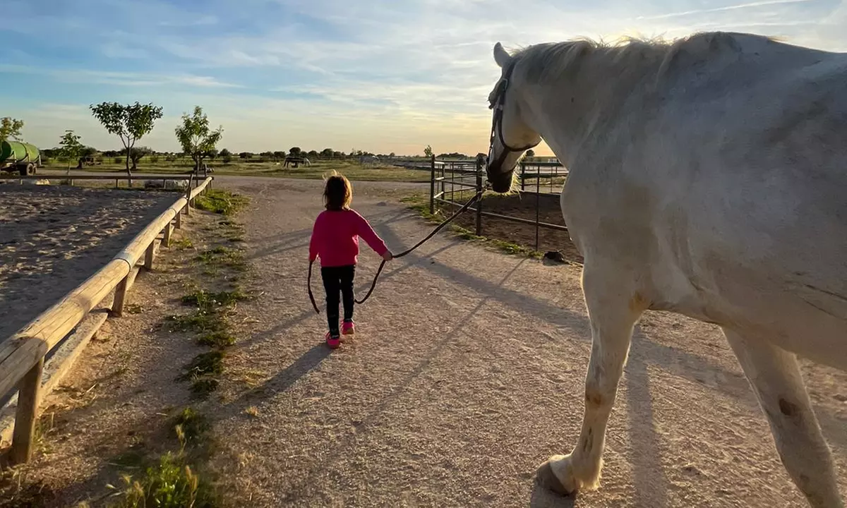 Ruta de 1 hora a caballo para hasta 4 personas con opción a iniciación