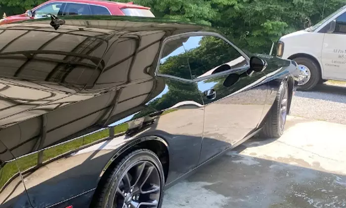 In-Shop Exterior Detail & Wax or Basic Interior Detail