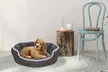 Lit/Matelas pour chien de la marque Datex - Second Medium
