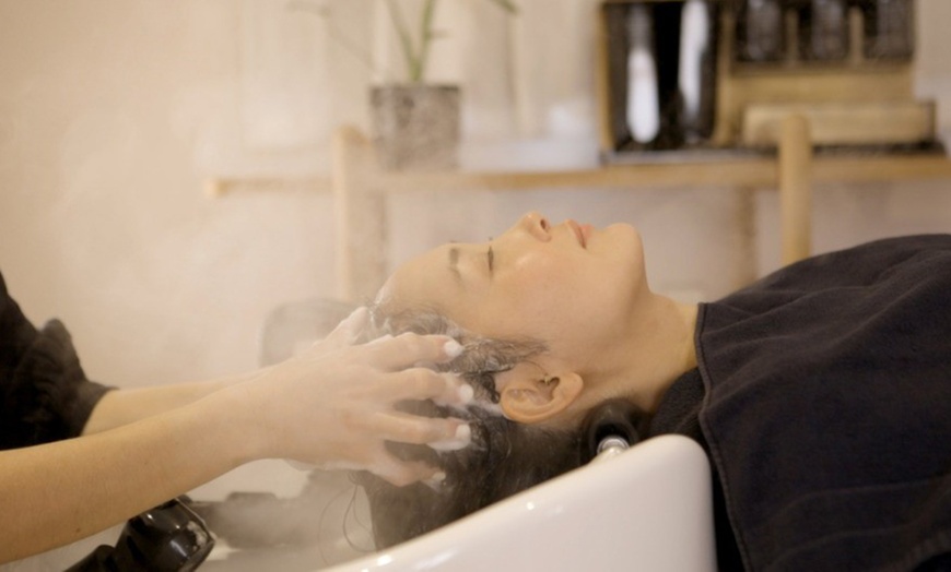 Image 4: Tratamiento de spa capilar a elegir con diagnóstico y masaje para 1