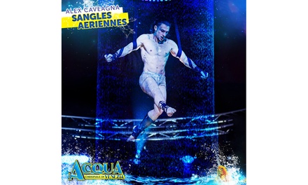 1 place pour le Cirque Mondial à Paris en gradin catégorie 2 : 29 novembre 2025 / 14h - Cirque Mondial, Pelouse de Reuilly à Paris 12ᵉ