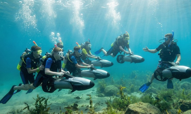 What to expect media