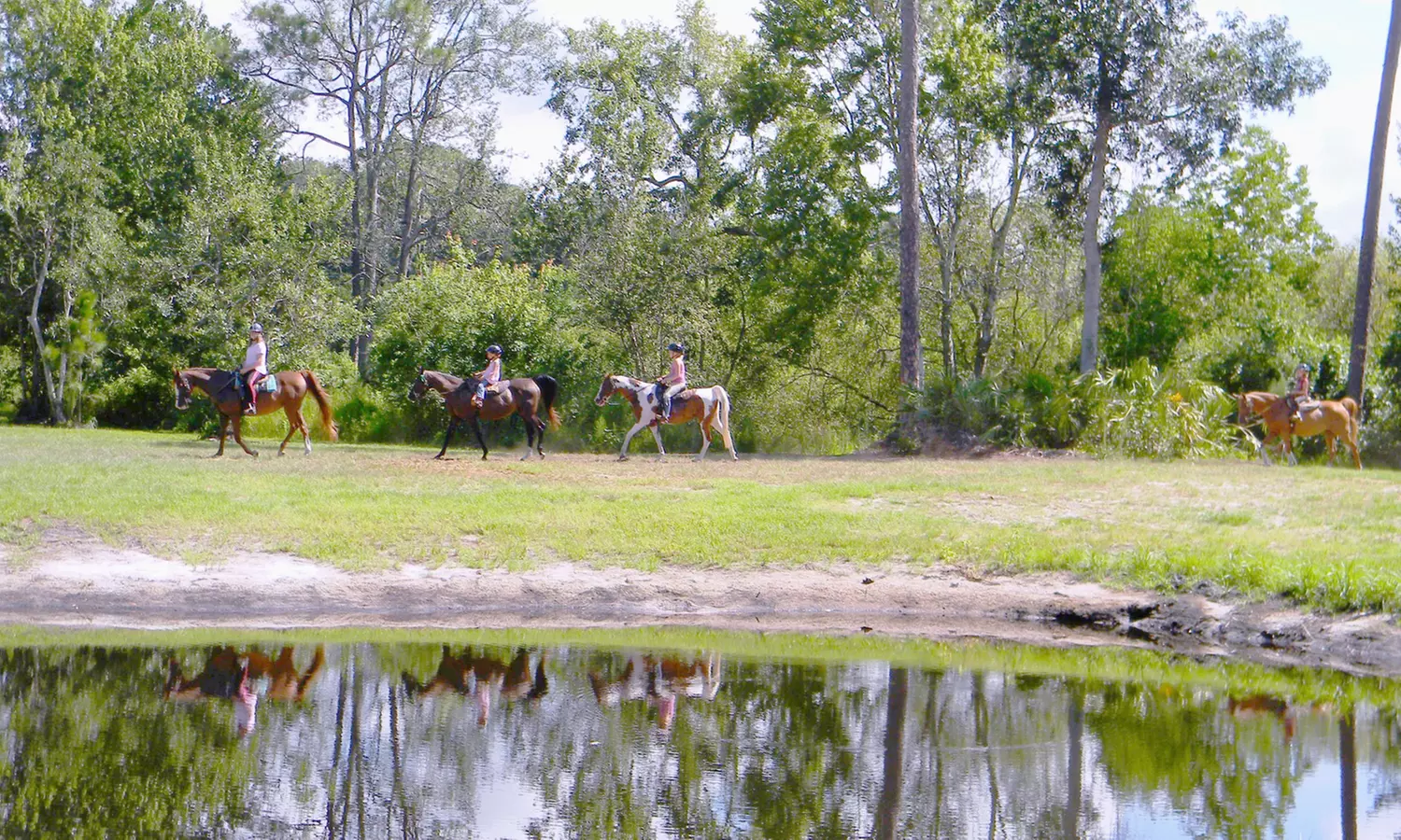 One-Hour Private Trail Ride for Two or Four at Equestrian Quest Stables (Up to 33% Off)  - Primary Image