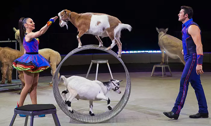 <i>Ringling Bros. and Barnum & Bailey</i> Presents <i>Out Of This World</i> on November 4–27   - Primary Image