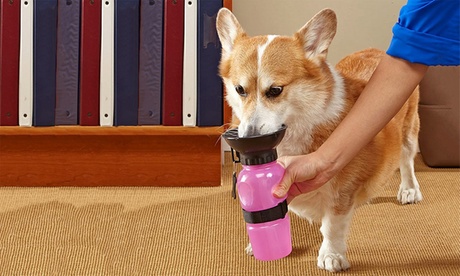 Gourde d'eau Squeazy pour animaux de compagnie