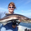 Image 5: Catch a Variety of Fish on a Family-Friendly Half-Day Fishing Charter