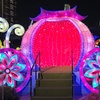 Image 7: Dubai Garden Glow Experience – Entry for 1–4 People