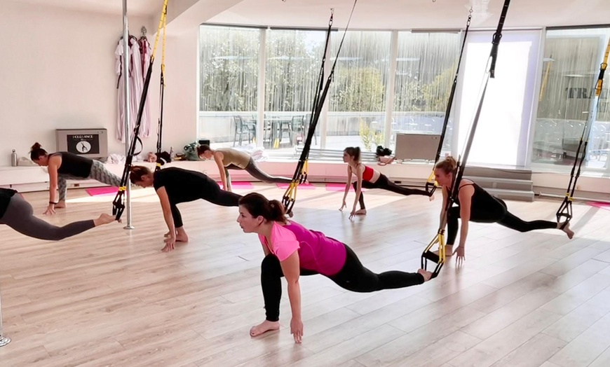 Image 10: Cours de hamac,cerceau ou PSM avec Pole Dance Antibes