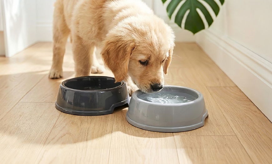 Image 4: 5-teiliges Hundepflege-Set