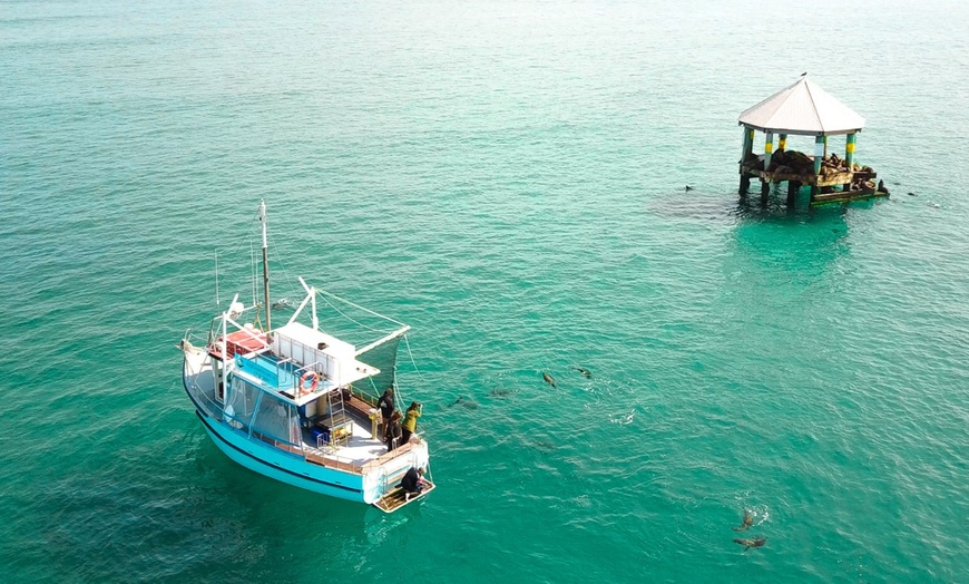 Image 9: Discover Wildlife on Sightseeing Tour for One Adult, Child or Infant 