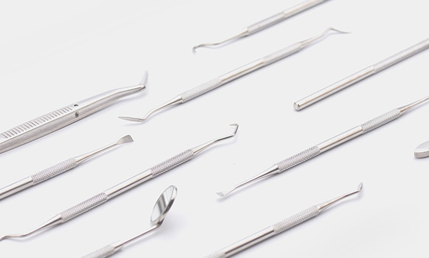 Image 10: 6Pcs Professional Dental Tool Kit