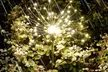 Two-Packs of SolarEra LED Solar Firework Outdoor Garden Lights - Second Medium