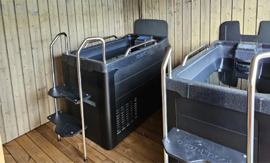 Image 2: Sauna & Ice Bath: 60-Minute or Monthly Unlimited