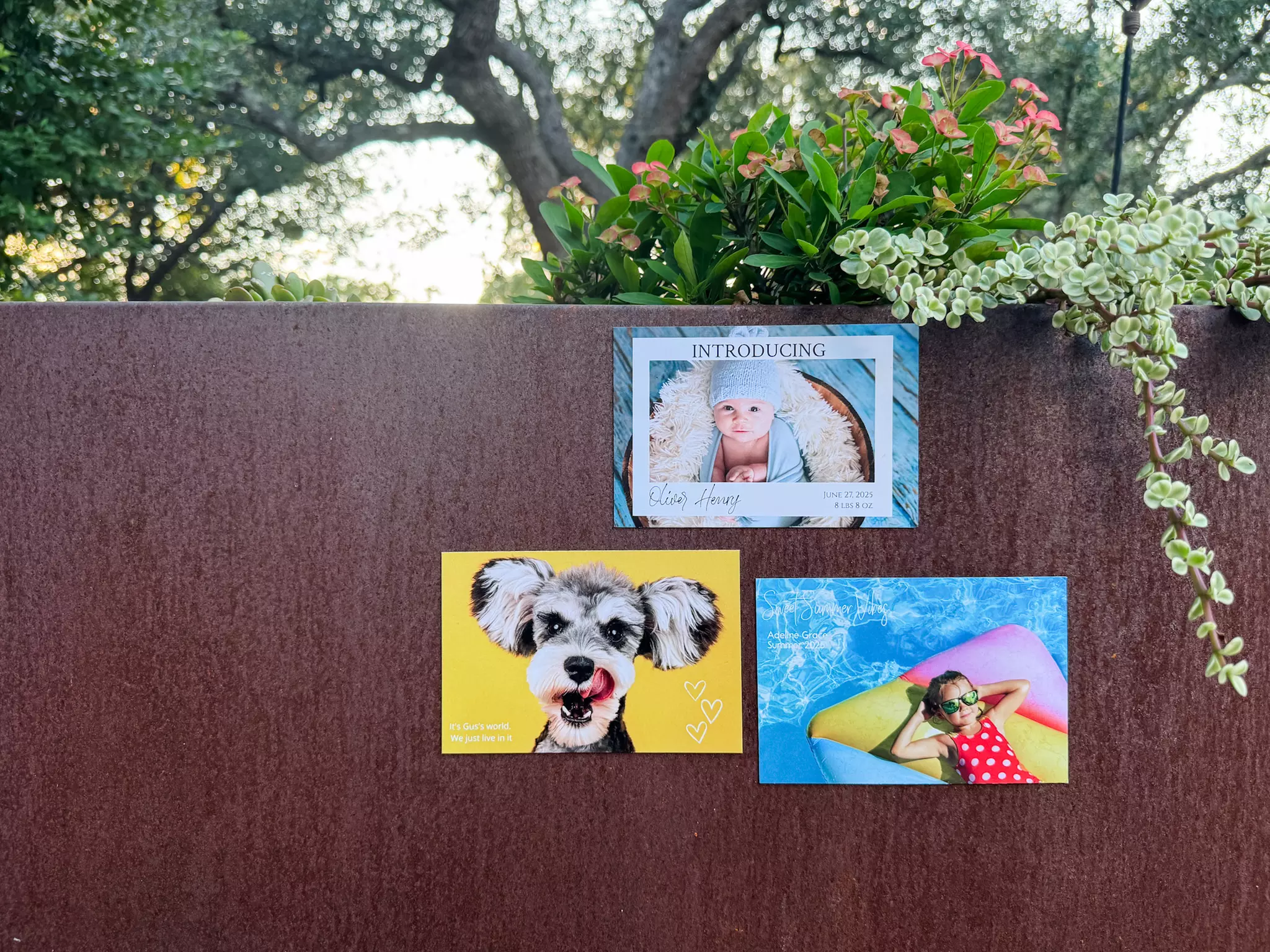 Customizable Magnets | Personalized Photo Gifts, Keepsakes & Décor