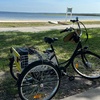 Image 1: Electric Bike & Trike Rentals - Explore East Lake Toho