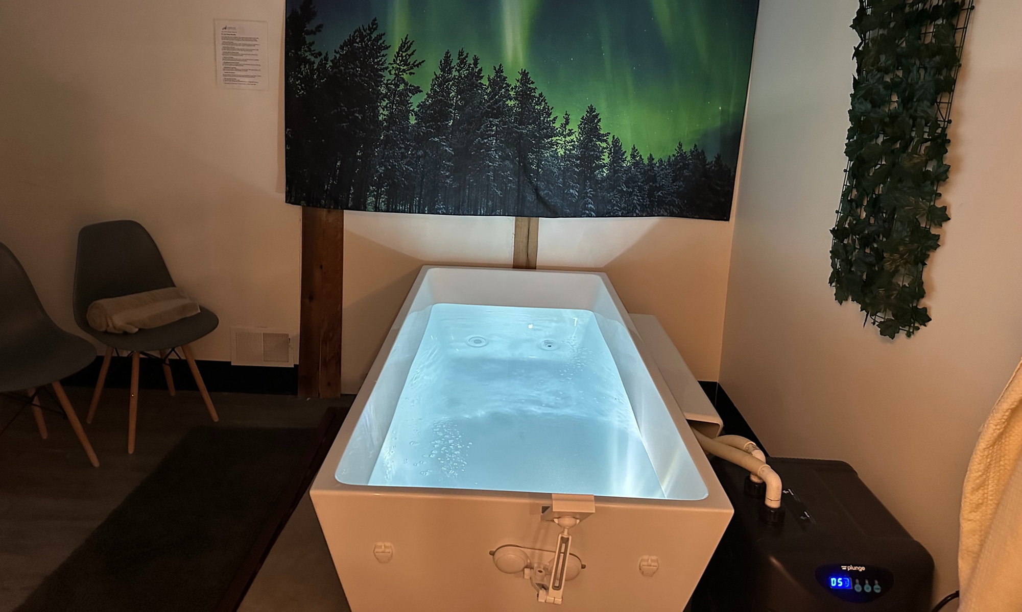 Rejuvenate with One or Three 30 Minute Sauna Sessions with Cold Plunge