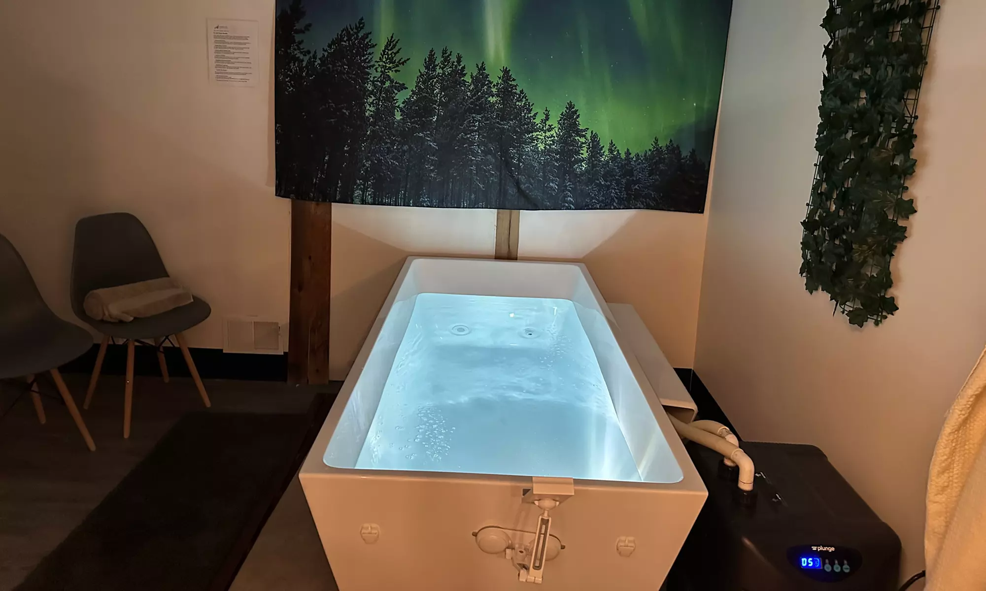 Rejuvenate with One or Three 30 Minute Sauna Sessions with Cold Plunge