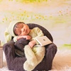 Image 15: Newborn Photography: Get a Standard, Deluxe or Solo Collection