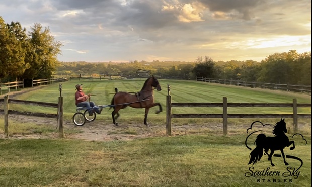 What to expect media