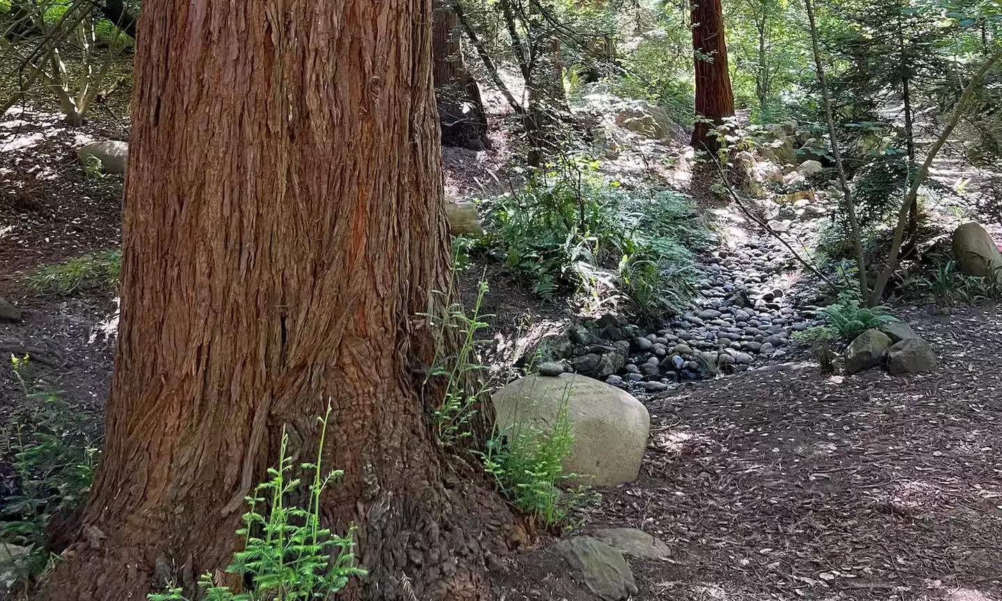 SF's WildSide, Redwood & Hike or Golden Gate Park's Hidden Gems Tour
