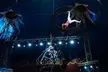 One Ticket to Circus Vegas American Circus - From March 17th - 22nd, 2026 (Up to 58% Off) - Image 2