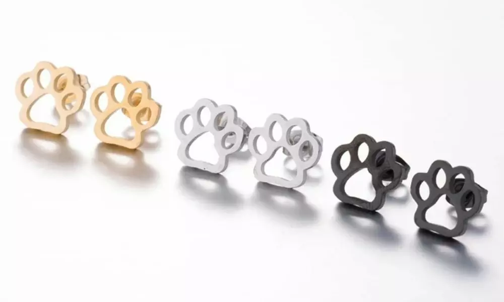 Stainless Steel Paw Print Fashion Stud Earrings - Multiple Options