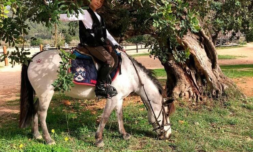 Image 2: Paseo a caballo y visita a finca mallorquina para 1 o 2 personas