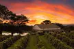 Gather Friends for Wine Tasting Fun for Two, Three, Four, or Six People at StarView Vineyards (Up to 27% Off) - Second Medium
