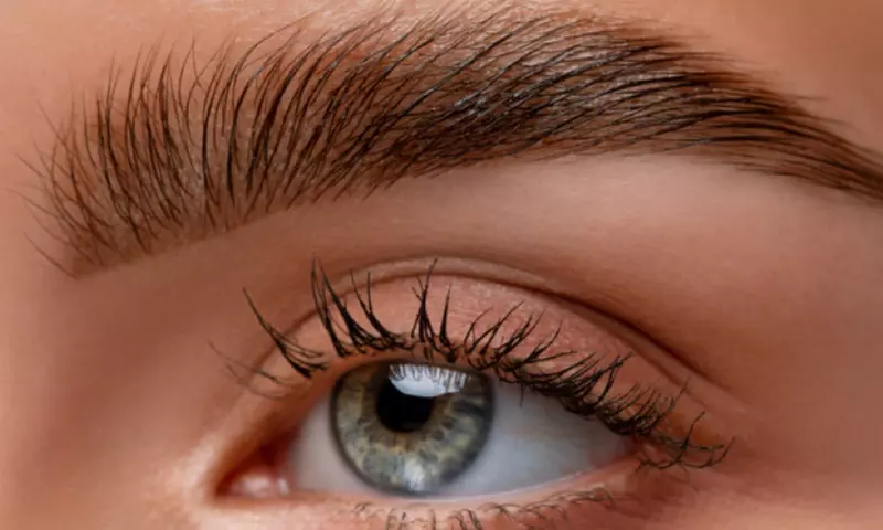 One or Two 30 or 45 Minute Eyebrow Lamination & Wax Session for One