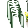 Image 4: 6- or 12-Piece Plastic Plant Support Pile Stands