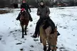 Enjoy a 45 Minute Horseback Trail Ride Through Hudson Valley with Juckas Stables - Second Medium
