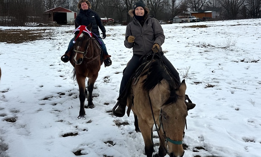 Image 7: Horseback Trail Ride Through Hudson Valley (45 Minutes)