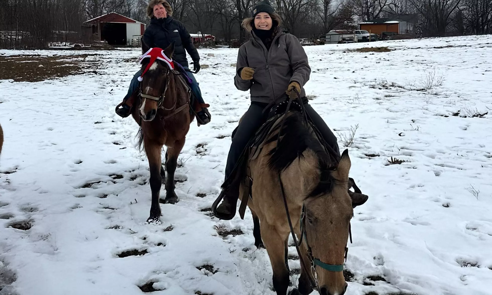 Snowy Horseback Trail Ride Through Hudson Valley (45 Minutes)