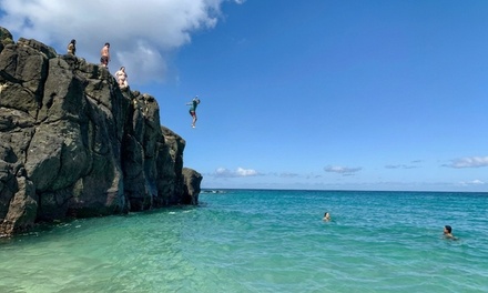 Eight Hour Full Day North Shore Beach Tour for Two People - Kevos Beach Bus - Honolulu, HI