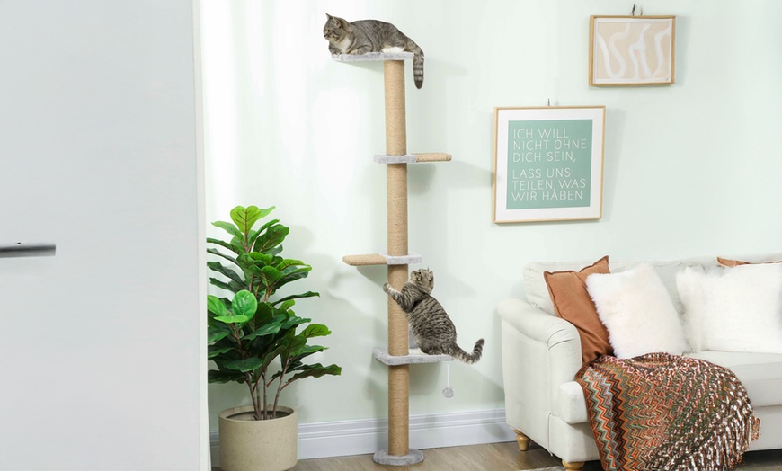 Image 1: Pawhut Wall-Mounted Cat Shelves with Four Climbing Platforms