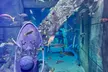 Explore Dubai’s Lost Chambers Aquarium: Tickets for One, Two, or Four at Royal Smart Tourism (Up to 33% Off) - Image 5