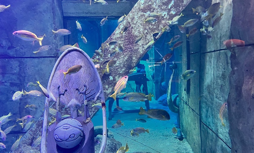 Image 5: Explore Dubai’s Lost Chambers Aquarium: Tickets for One, Two, or Four