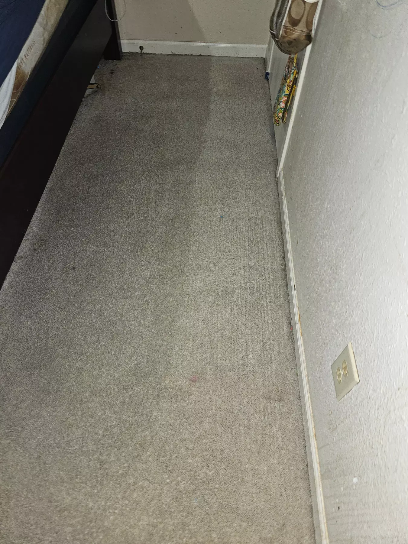 Up to 58% Off on Carpet Cleaning at Aggro Carpet Cleaning