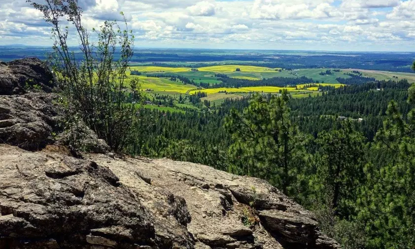Explore Nature with Family Membership Access