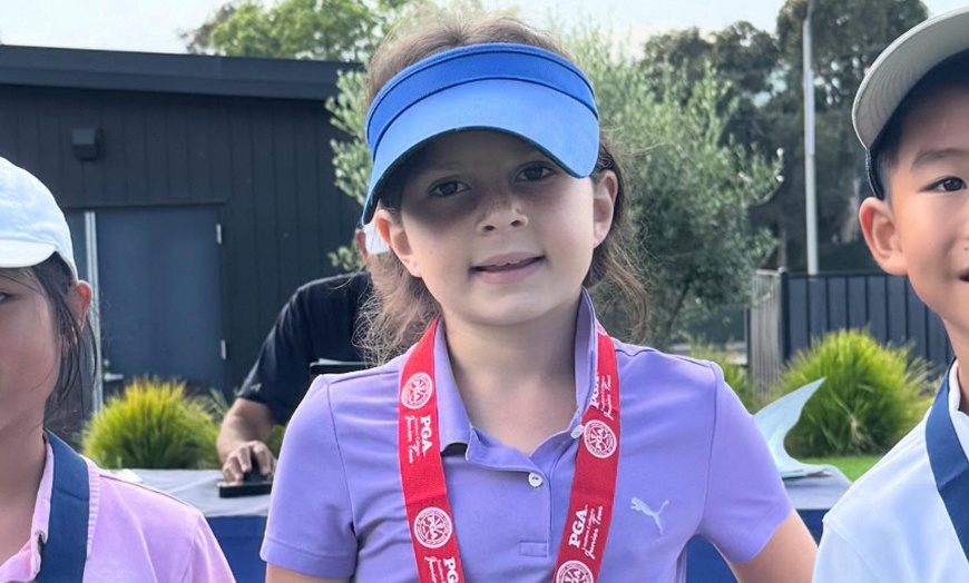 Image 3:  9 Hole Assessment Session, Swing Assessment Session, 2 Lesson & More