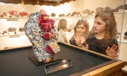 Admission for One - Rice Northwest Museum of Rocks & Minerals