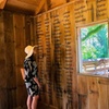 Image 13: Up to 21% Off Historic New Orleans Plantation Tours