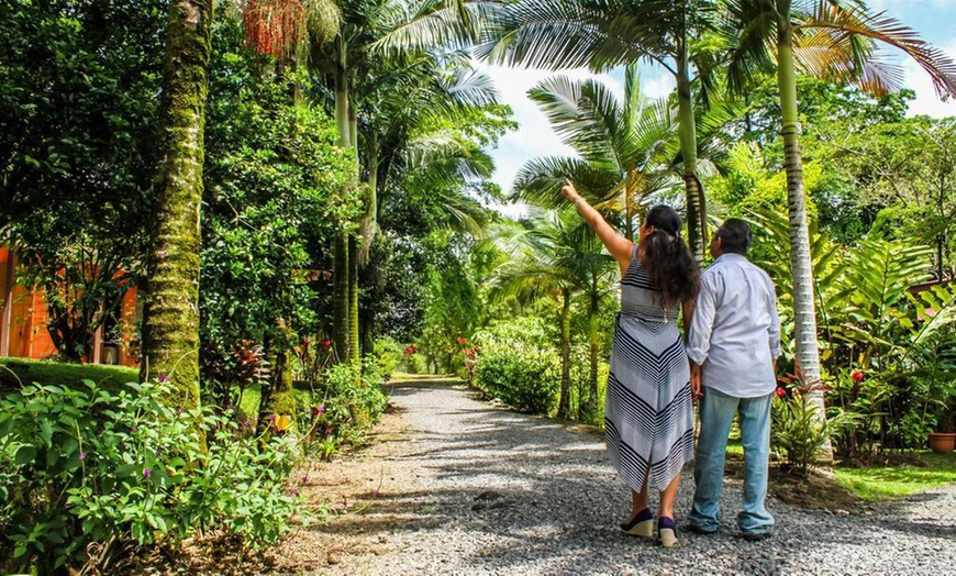 Image 21: ✈ 8-Night Costa Rica Volcano and Beach Vacation w/Air, SUV