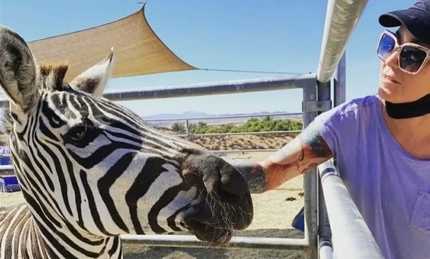 Image 2: Up to 25% Off Zoo Admission & Chocolates at Sugarplum Zoo