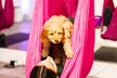 Puppy Pilates or  Puppy Restorative Aerial Hammock Private Party Up to 8 or 12 Guests (Up to 56% Off) - Second Medium