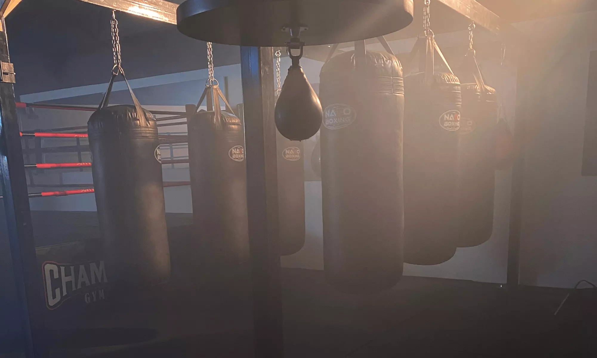 Train like a champ with boxing classes and included gloves 
